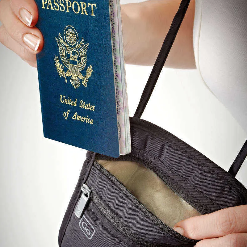 Go Travel Passport Pouch