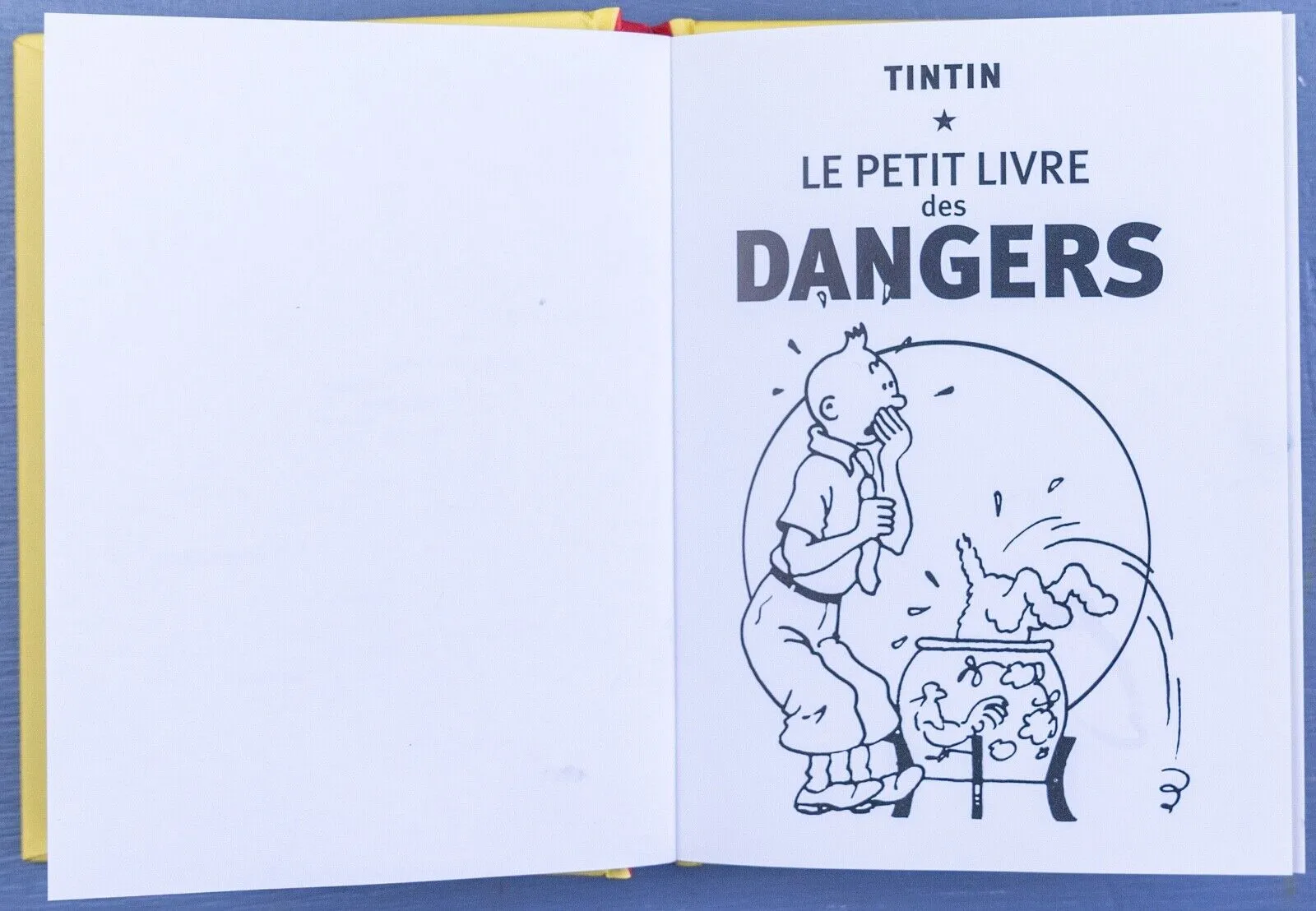 Tintin Petit Livre Dangers French Edition Mini Hardback Moulinsart